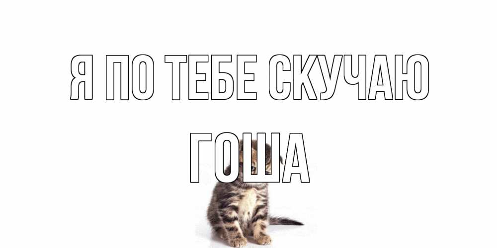 Открытка на каждый день с именем, Гоша Я по тебе скучаю кот Прикольная открытка с пожеланием онлайн скачать бесплатно 
