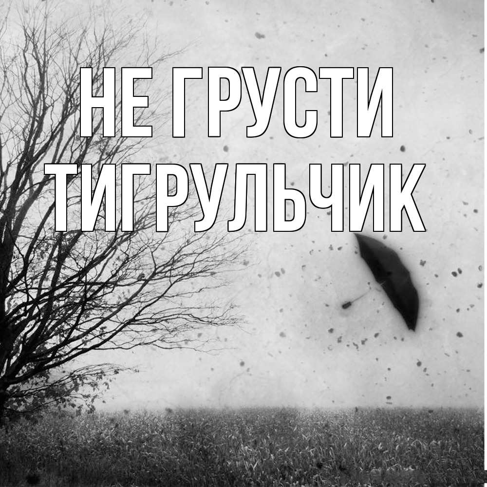 Открытка на каждый день с именем, Тигpульчик Не грусти летящий зонтик Прикольная открытка с пожеланием онлайн скачать бесплатно 