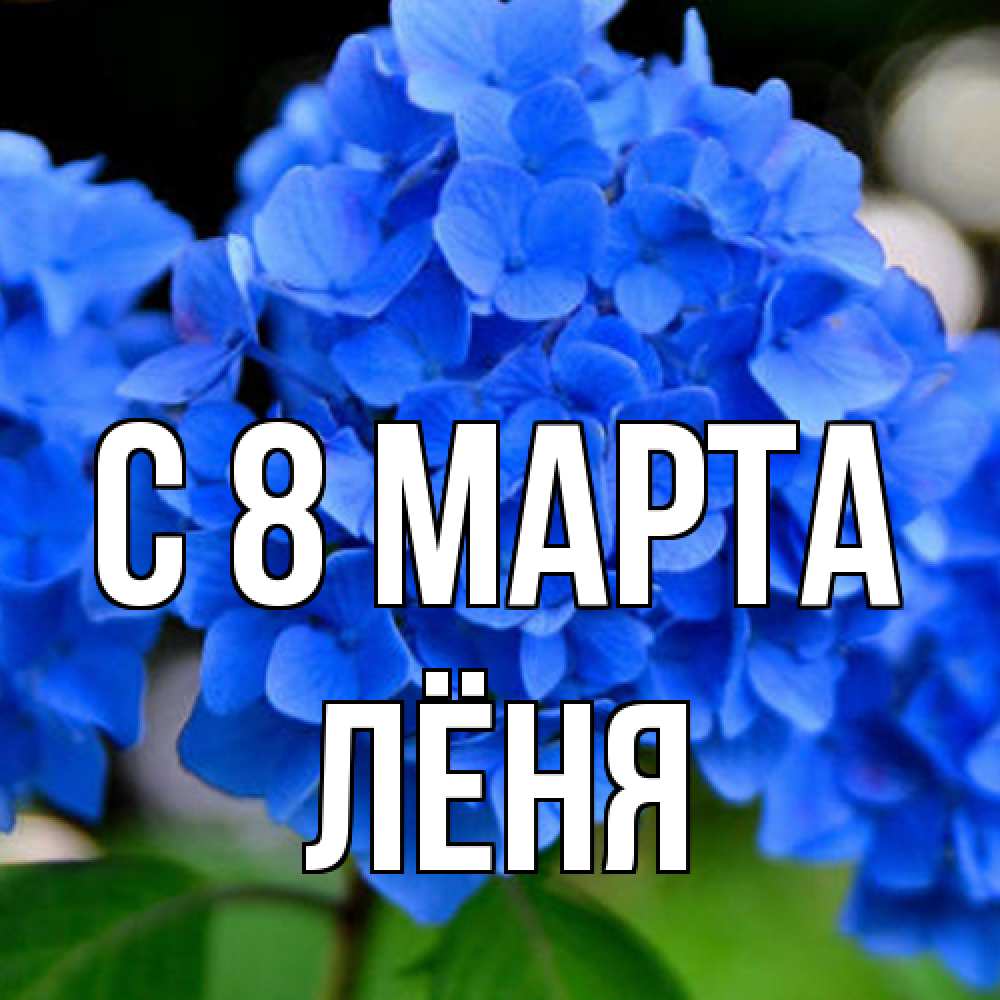 Открытка на каждый день с именем, Лёня C 8 МАРТА синие цветы Прикольная открытка с пожеланием онлайн скачать бесплатно 