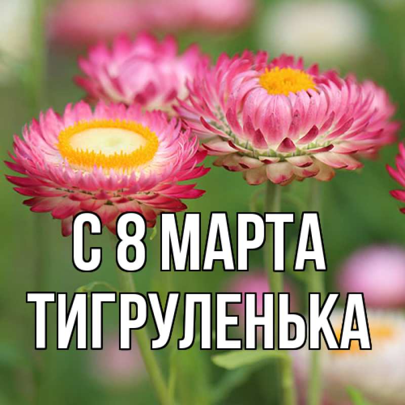 Картинка C 8 МАРТА, Тигpуленька
