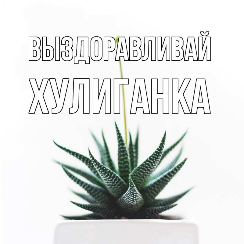 Картинка Выздоравливай, Хулиганка