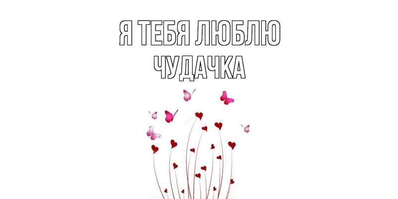 Картинка Я тебя люблю, Чудачка