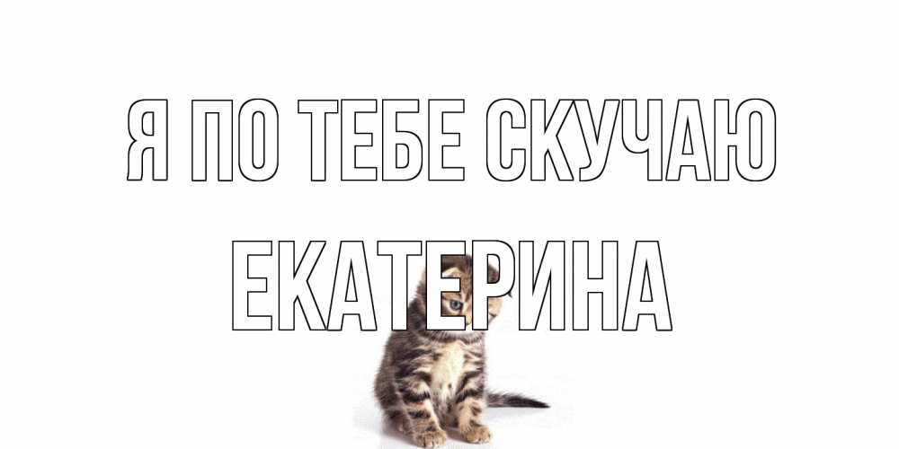 Открытка на каждый день с именем, Екатерина Я по тебе скучаю кот Прикольная открытка с пожеланием онлайн скачать бесплатно 