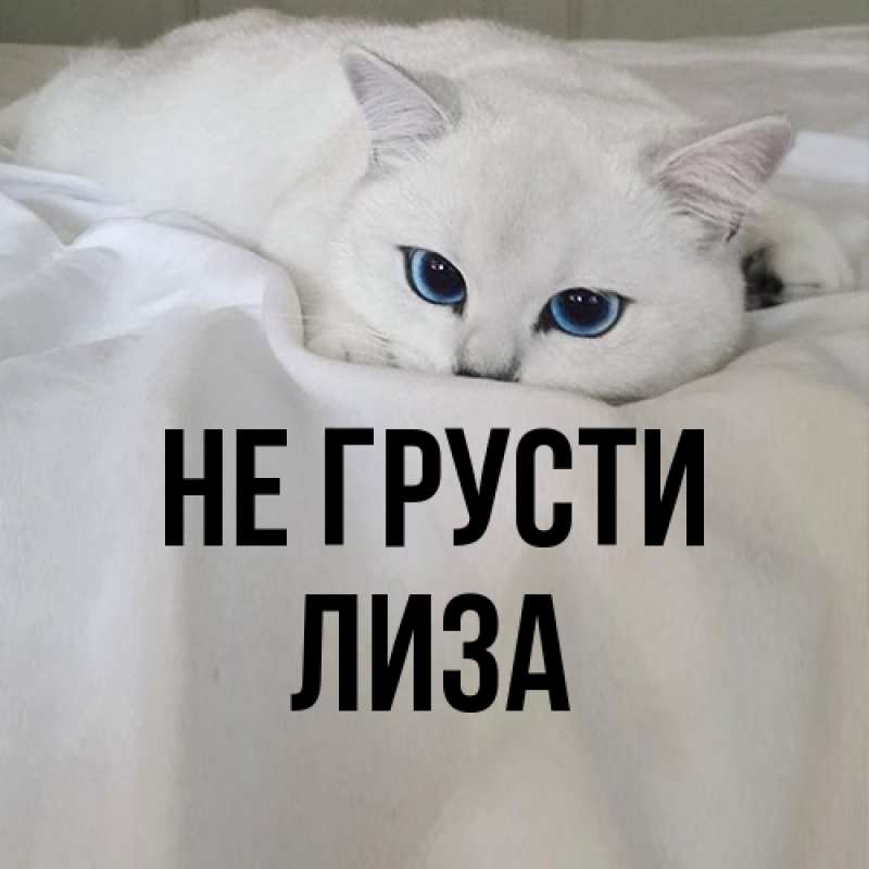 Картинка Не грусти, Лиза