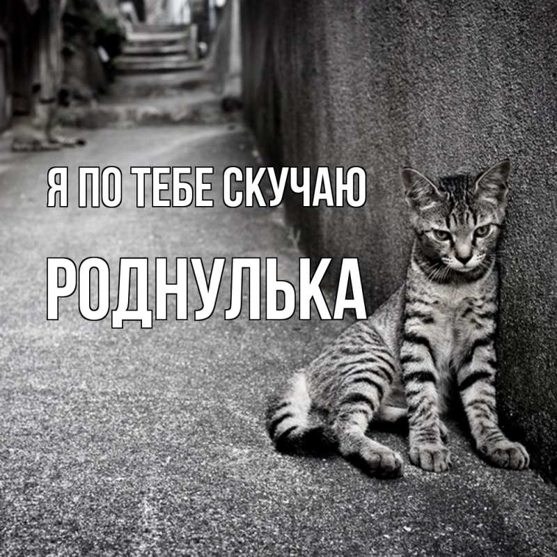 Картинка Я по тебе скучаю, Роднулька