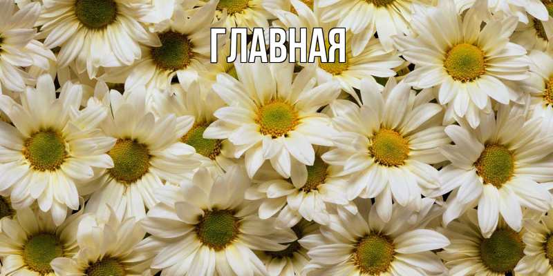 Картинка  с именем , настя