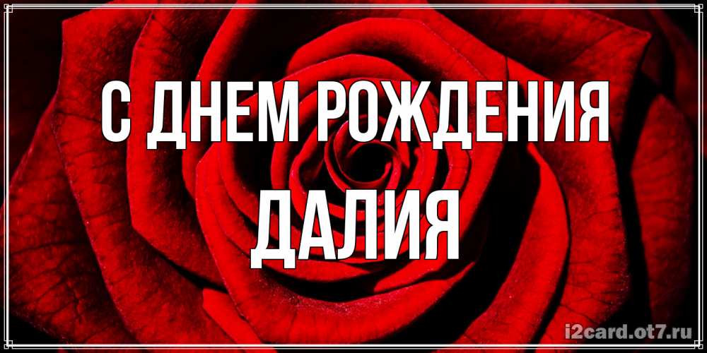 Открытка на каждый день с именем, Далия С днем рождения алая роза Прикольная открытка с пожеланием онлайн скачать бесплатно 