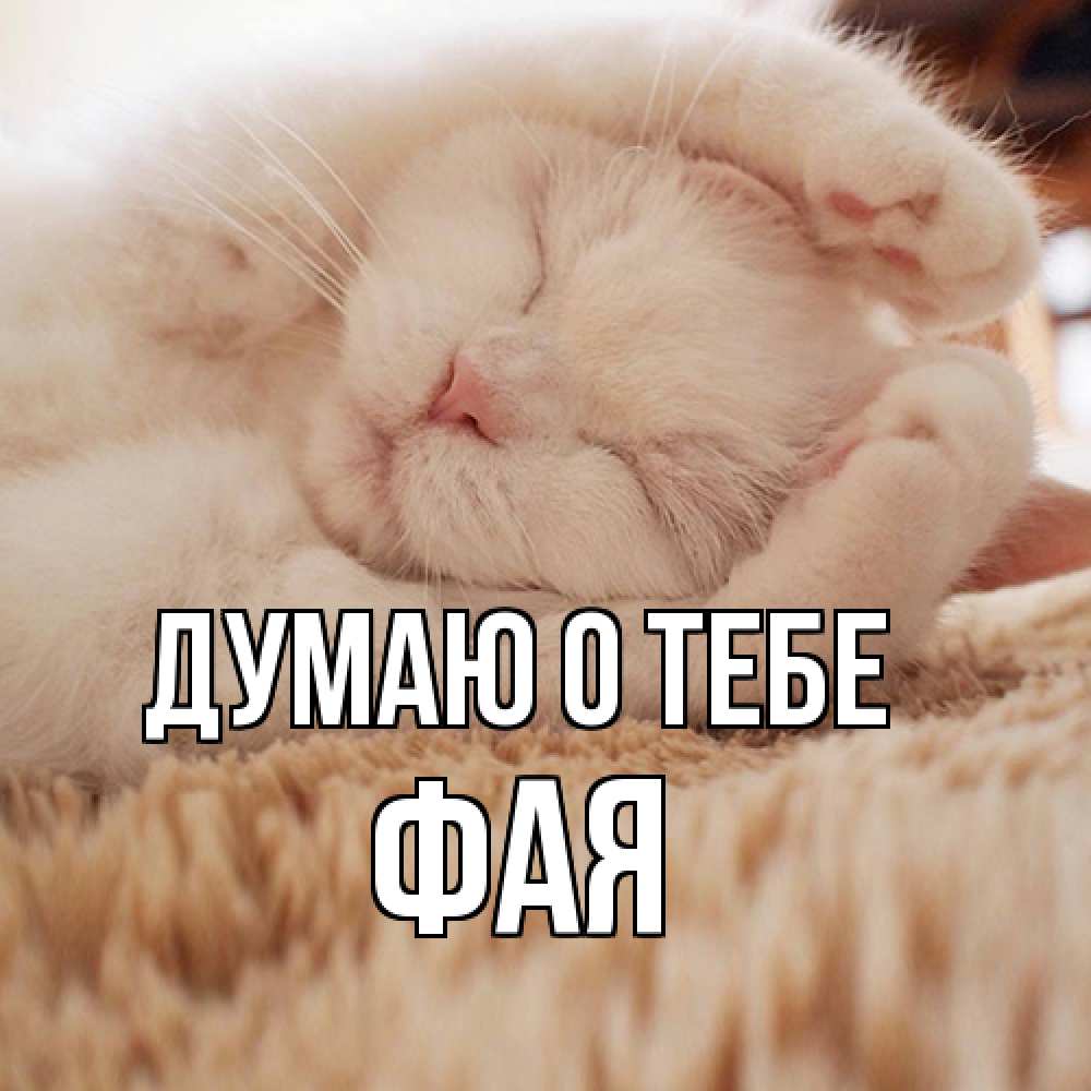 Открытка на каждый день с именем, Фая Думаю о тебе для любимой девушки милота Прикольная открытка с пожеланием онлайн скачать бесплатно 