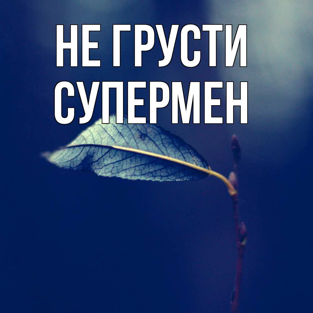 Открытка на каждый день с именем, Супермен Не грусти растение Прикольная открытка с пожеланием онлайн скачать бесплатно 