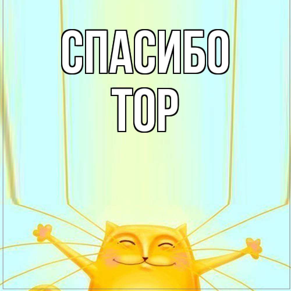 Открытка на каждый день с именем, Тор Спасибо кот с усами благодарит Прикольная открытка с пожеланием онлайн скачать бесплатно 