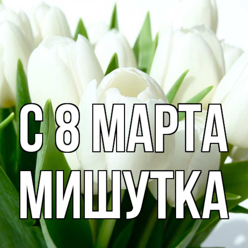 Картинка C 8 МАРТА, Мишутка