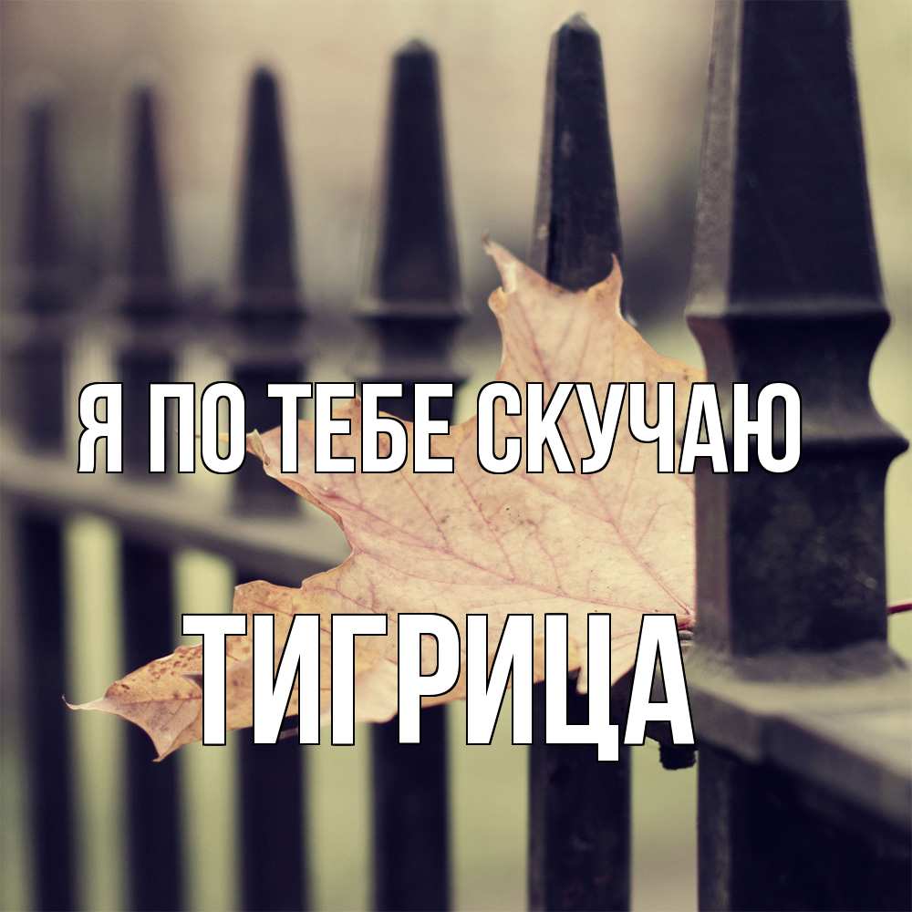 Открытка на каждый день с именем, Тигрица Я по тебе скучаю очень скучно Прикольная открытка с пожеланием онлайн скачать бесплатно 