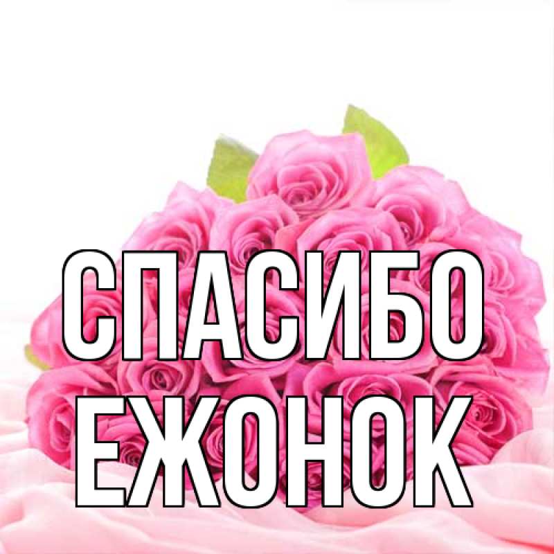 Картинка Спасибо, Ежонок