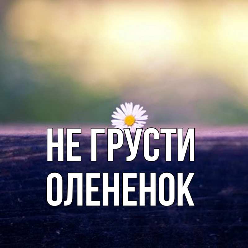 Картинка Не грусти, Олененок