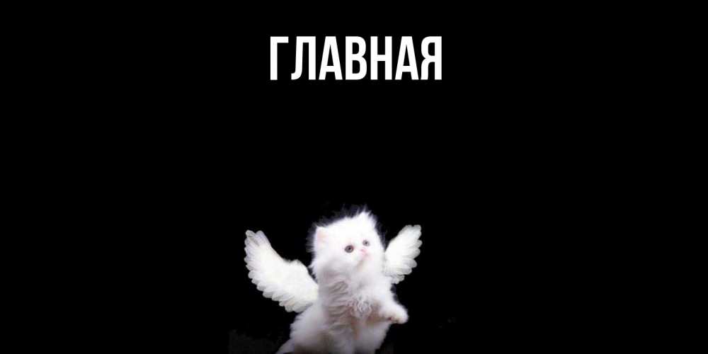 Открытка на каждый день с именем, Анна Главная Кот ангел Прикольная открытка с пожеланием онлайн скачать бесплатно 