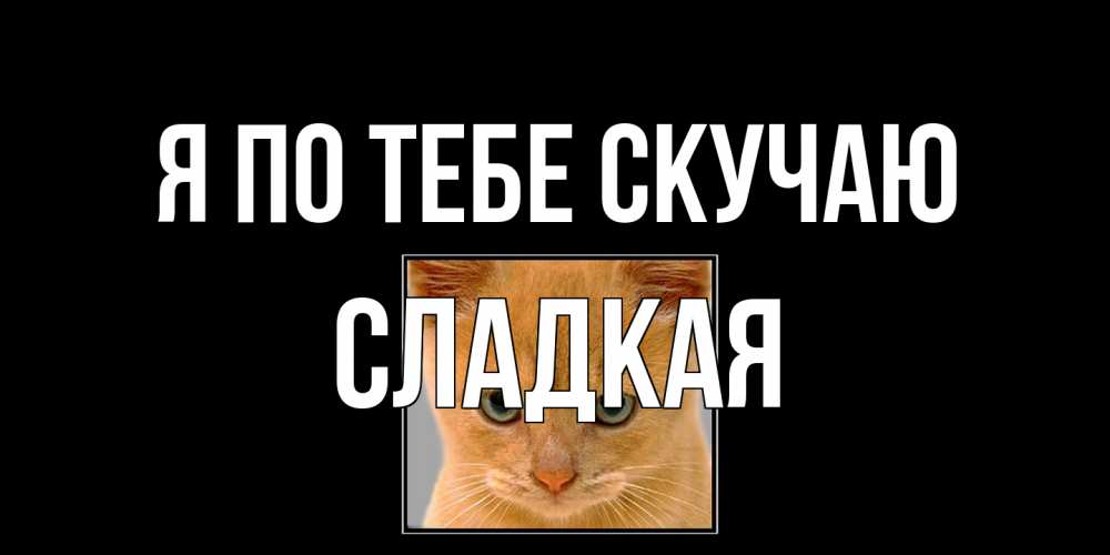 Открытка на каждый день с именем, сладкая Я по тебе скучаю открытки рыжий котенок скучает по тебе Прикольная открытка с пожеланием онлайн скачать бесплатно 