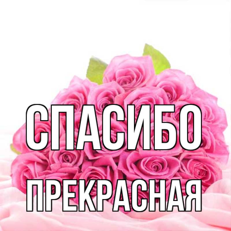 Картинка Спасибо, Пpекpасная