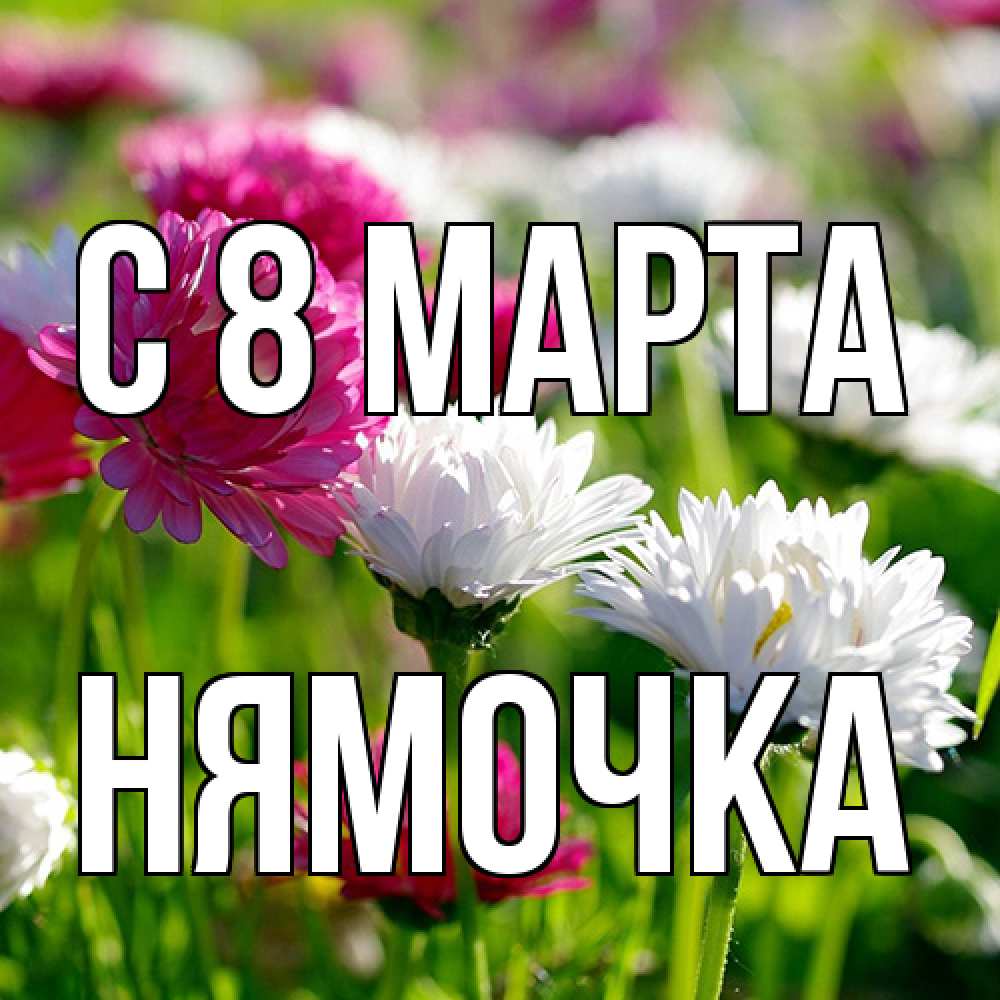 Открытка на каждый день с именем, нямочка C 8 МАРТА международный женский день 1 Прикольная открытка с пожеланием онлайн скачать бесплатно 