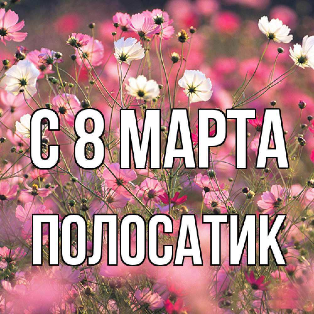 Открытка на каждый день с именем, полосатик C 8 МАРТА красиво 1 Прикольная открытка с пожеланием онлайн скачать бесплатно 