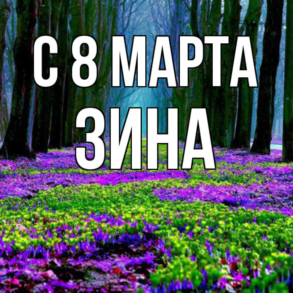 Открытка на каждый день с именем, Зина C 8 МАРТА фиолетовые цветы в лесу 1 Прикольная открытка с пожеланием онлайн скачать бесплатно 