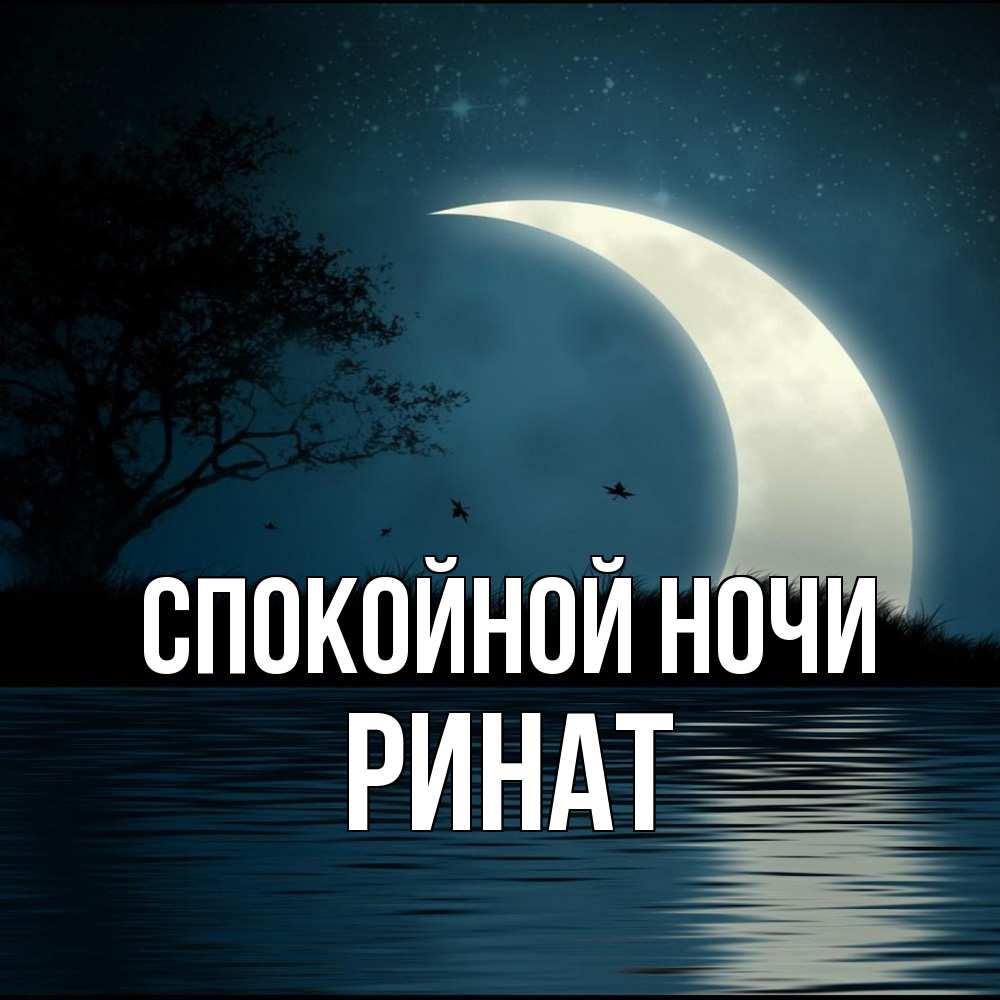Открытка на каждый день с именем, Ринат Спокойной ночи вода Прикольная открытка с пожеланием онлайн скачать бесплатно 