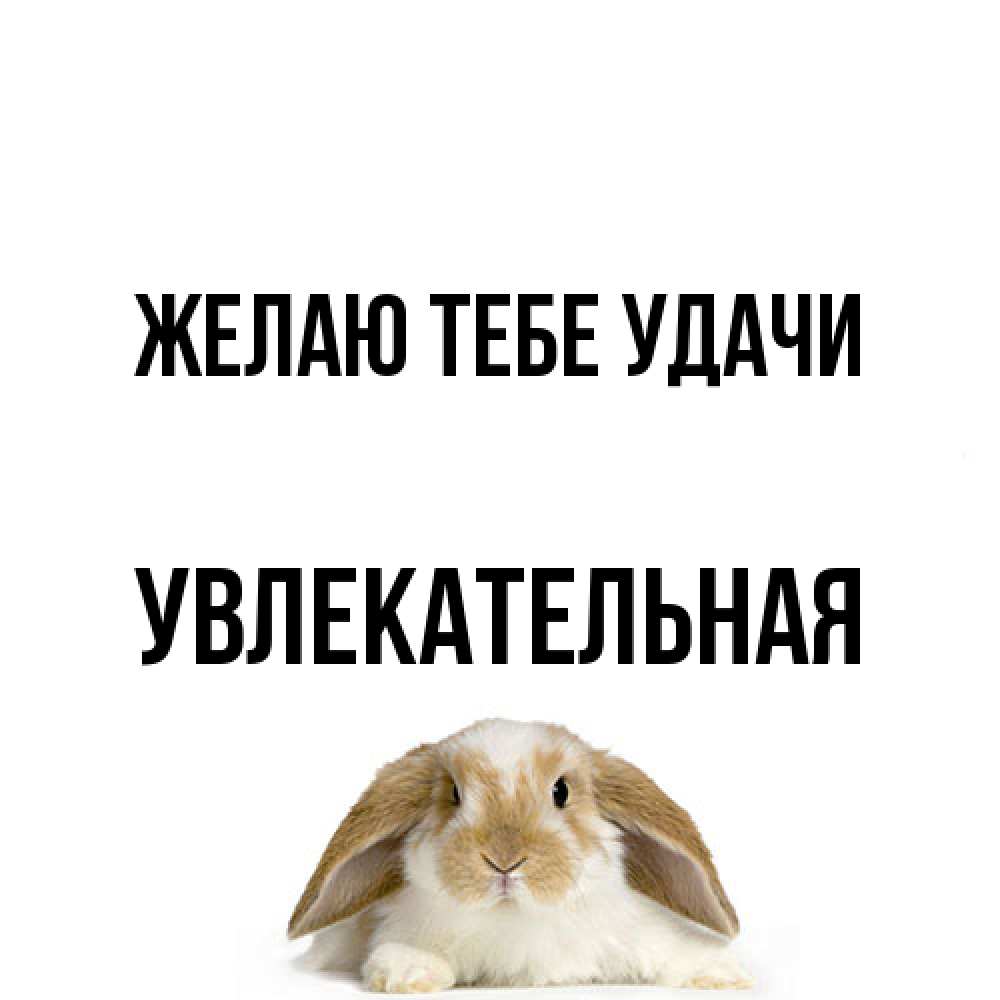 Открытка на каждый день с именем, Увлекательная Желаю тебе удачи открытки с произвольным текстом который можно вставить в открытку и создать ее самостоятельно бесплатно онлайн Прикольная открытка с пожеланием онлайн скачать бесплатно 