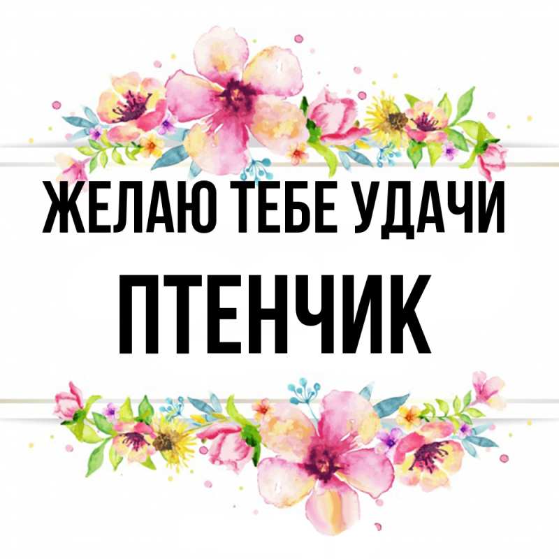 Картинка Желаю тебе удачи, Птенчик