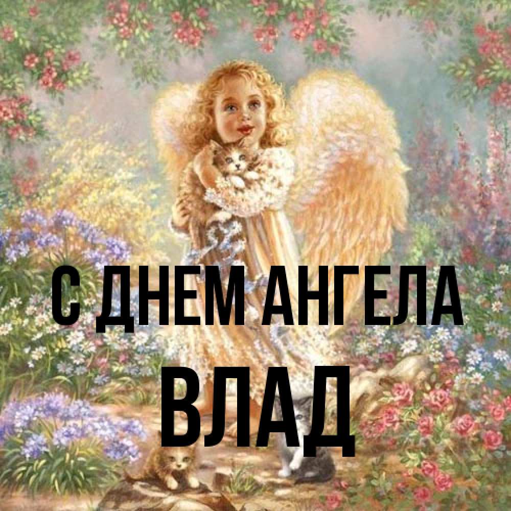 Открытка на каждый день с именем, Влад С днем ангела держит котенка Прикольная открытка с пожеланием онлайн скачать бесплатно 