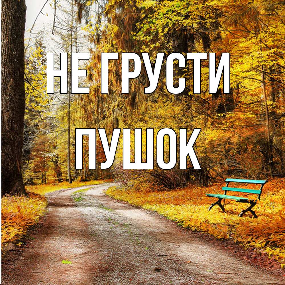 Открытка на каждый день с именем, пушок Не грусти зеленая лавочка Прикольная открытка с пожеланием онлайн скачать бесплатно 
