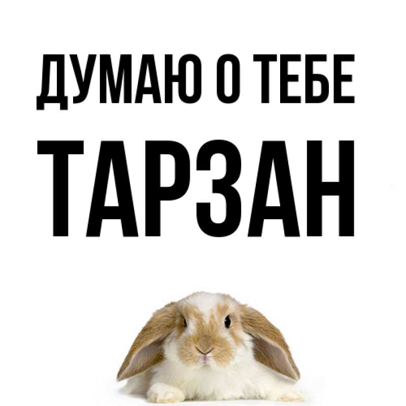 Картинка Думаю о тебе, Тарзан