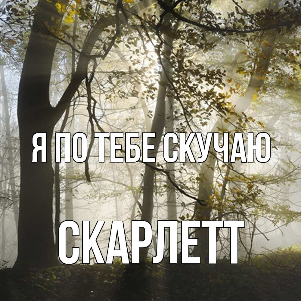 Открытка на каждый день с именем, Скарлетт Я по тебе скучаю грустно Прикольная открытка с пожеланием онлайн скачать бесплатно 