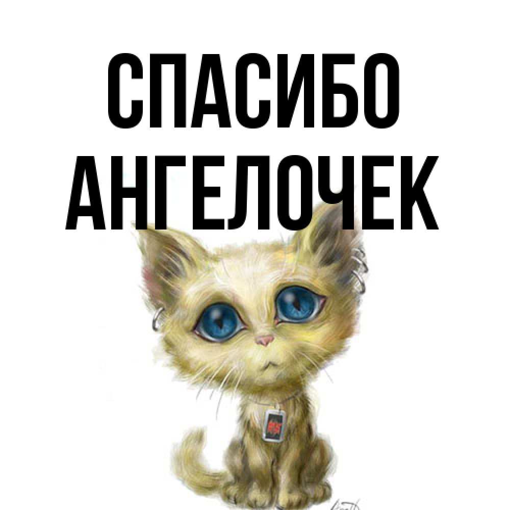 Открытка на каждый день с именем, Ангелочек Спасибо рисованный кот благодарит вас Прикольная открытка с пожеланием онлайн скачать бесплатно 