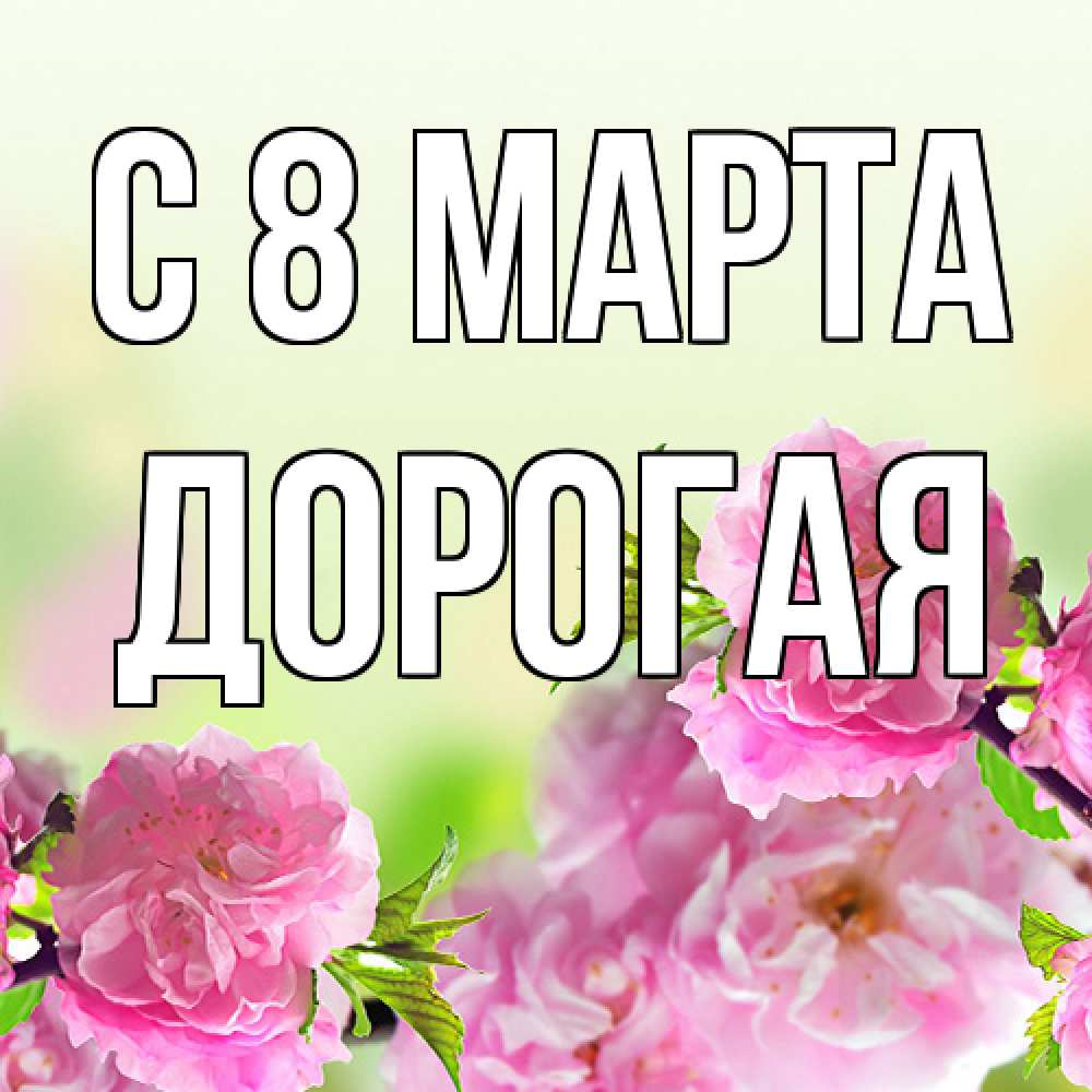 Открытка на каждый день с именем, Дорогая C 8 МАРТА цветы Прикольная открытка с пожеланием онлайн скачать бесплатно 