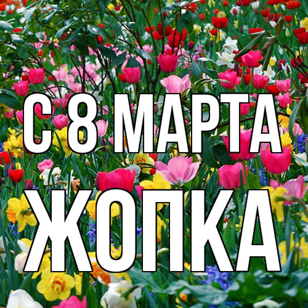 Открытка на каждый день с именем, Жопка C 8 МАРТА с международным женским днем поздравления для женщины Прикольная открытка с пожеланием онлайн скачать бесплатно 