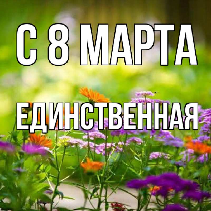 Картинка C 8 МАРТА, Единственная