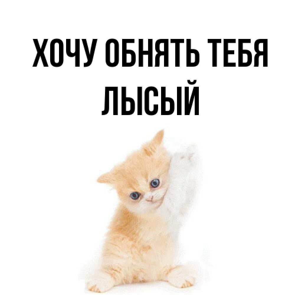 Открытка на каждый день с именем, Лысый Хочу обнять тебя я хочу очень скорее обнимаешек Прикольная открытка с пожеланием онлайн скачать бесплатно 