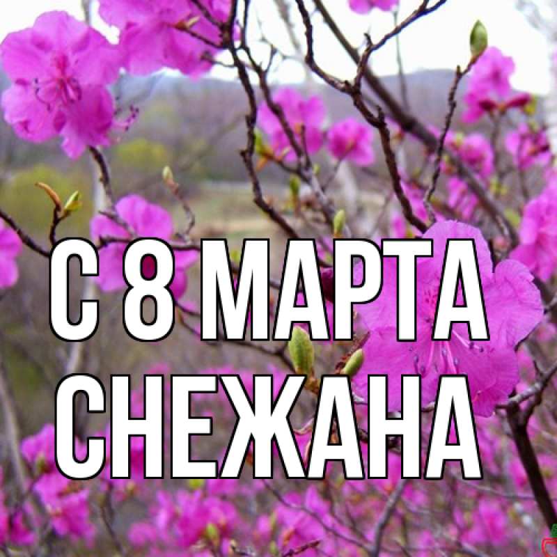 Картинка C 8 МАРТА, Снежана