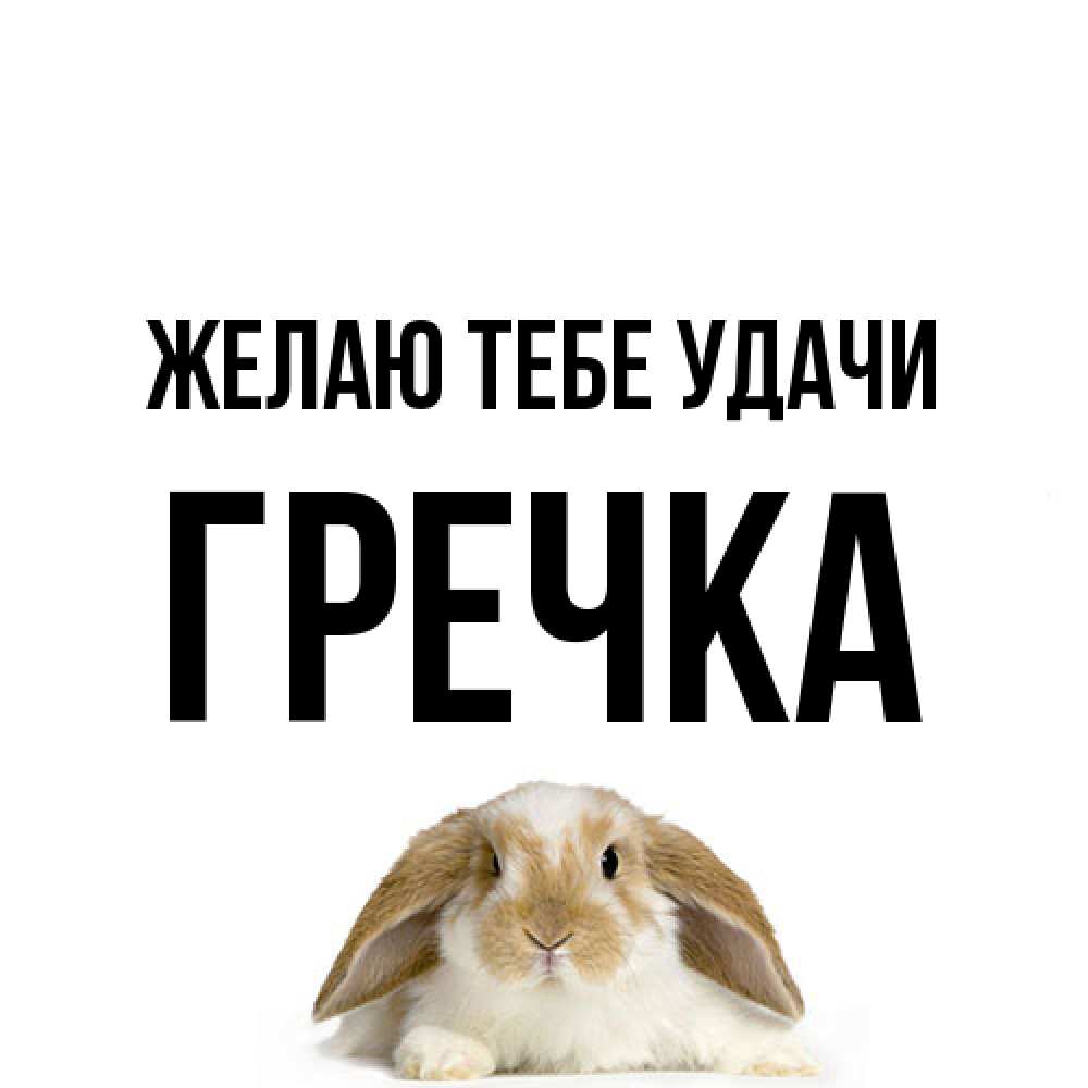Открытка на каждый день с именем, Гречка Желаю тебе удачи открытки с произвольным текстом который можно вставить в открытку и создать ее самостоятельно бесплатно онлайн Прикольная открытка с пожеланием онлайн скачать бесплатно 