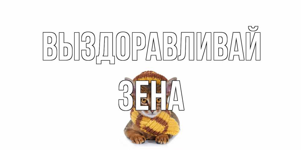 Открытка на каждый день с именем, Зена Выздоравливай родные не болейте Прикольная открытка с пожеланием онлайн скачать бесплатно 