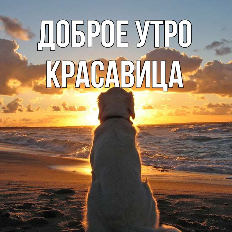 Картинка Доброе утро, Красавица