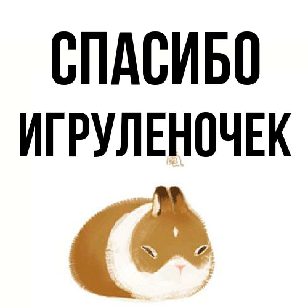 Открытка на каждый день с именем, Игpуленочек Спасибо коричнево белый домашний питомец Прикольная открытка с пожеланием онлайн скачать бесплатно 