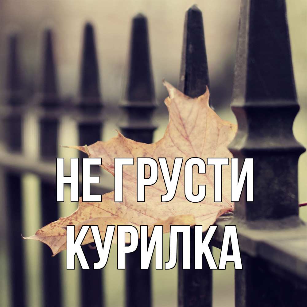 Открытка на каждый день с именем, Курилка Не грусти лист клена Прикольная открытка с пожеланием онлайн скачать бесплатно 
