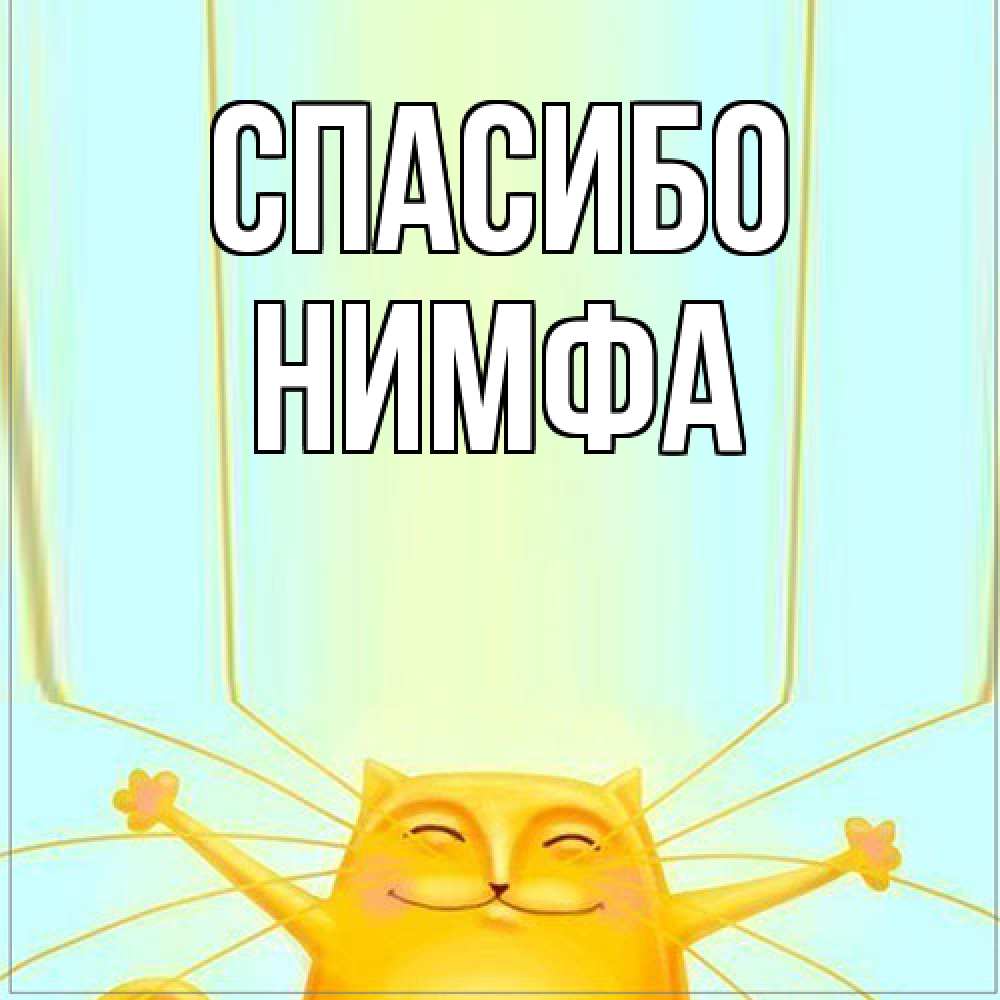 Открытка на каждый день с именем, Нимфа Спасибо кот с усами благодарит Прикольная открытка с пожеланием онлайн скачать бесплатно 