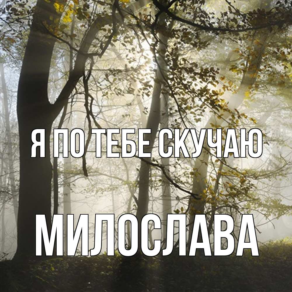 Открытка на каждый день с именем, Милослава Я по тебе скучаю грустно Прикольная открытка с пожеланием онлайн скачать бесплатно 