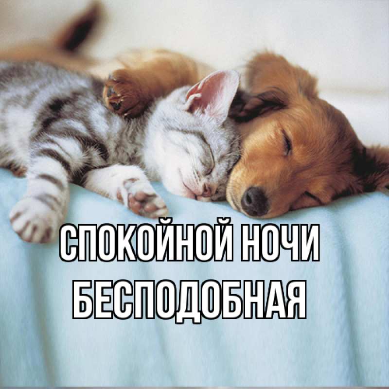 Картинка Спокойной ночи, бесподобная