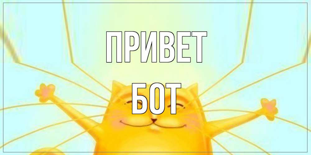Открытка на каждый день с именем, Бот Привет кот Прикольная открытка с пожеланием онлайн скачать бесплатно 
