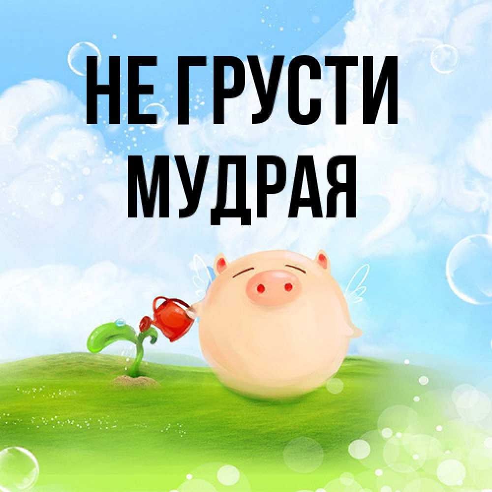 Открытка на каждый день с именем, Мудpая Не грусти поливает цветок порося Прикольная открытка с пожеланием онлайн скачать бесплатно 