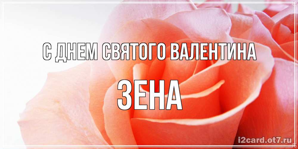 Открытка на каждый день с именем, Зена С днем Святого Валентина открытка на день Святого Валентина с розовой розой Прикольная открытка с пожеланием онлайн скачать бесплатно 