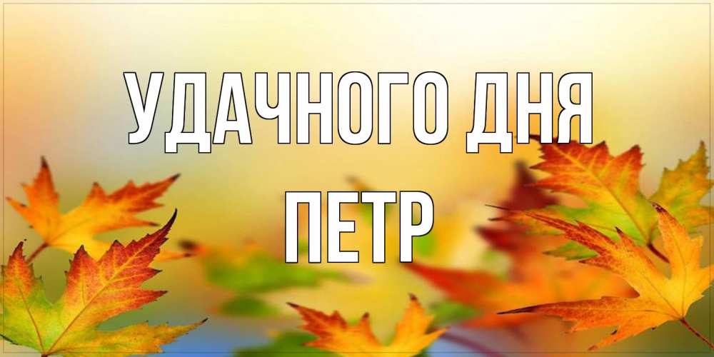 Открытка на каждый день с именем, Петр Удачного дня открытка с пожеланием хорошего осеннего дня Прикольная открытка с пожеланием онлайн скачать бесплатно 