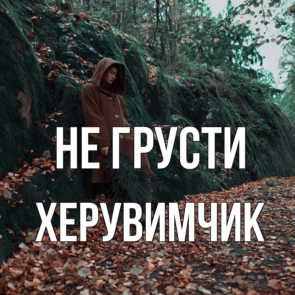 Открытка на каждый день с именем, Хеpувимчик Не грусти осенний лес Прикольная открытка с пожеланием онлайн скачать бесплатно 